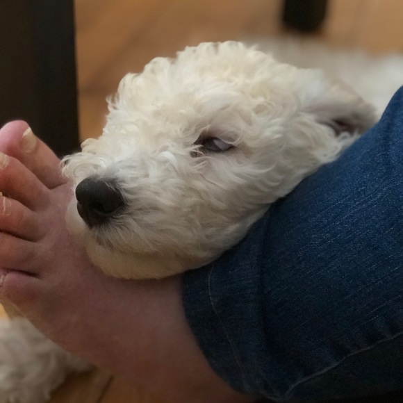 Meet your Posher, Stacy - Picture 1 of 1